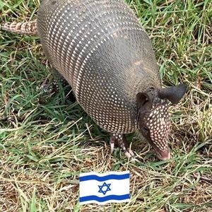 Meet your Posher, Moses